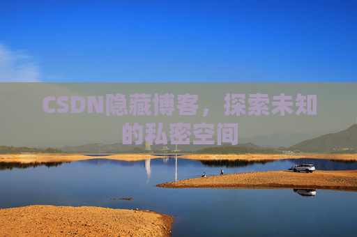 CSDN隐藏博客，探索未知的私密空间